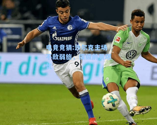 电竞竞猜:沙尔克主场不敌弱旅，保级前景堪忧